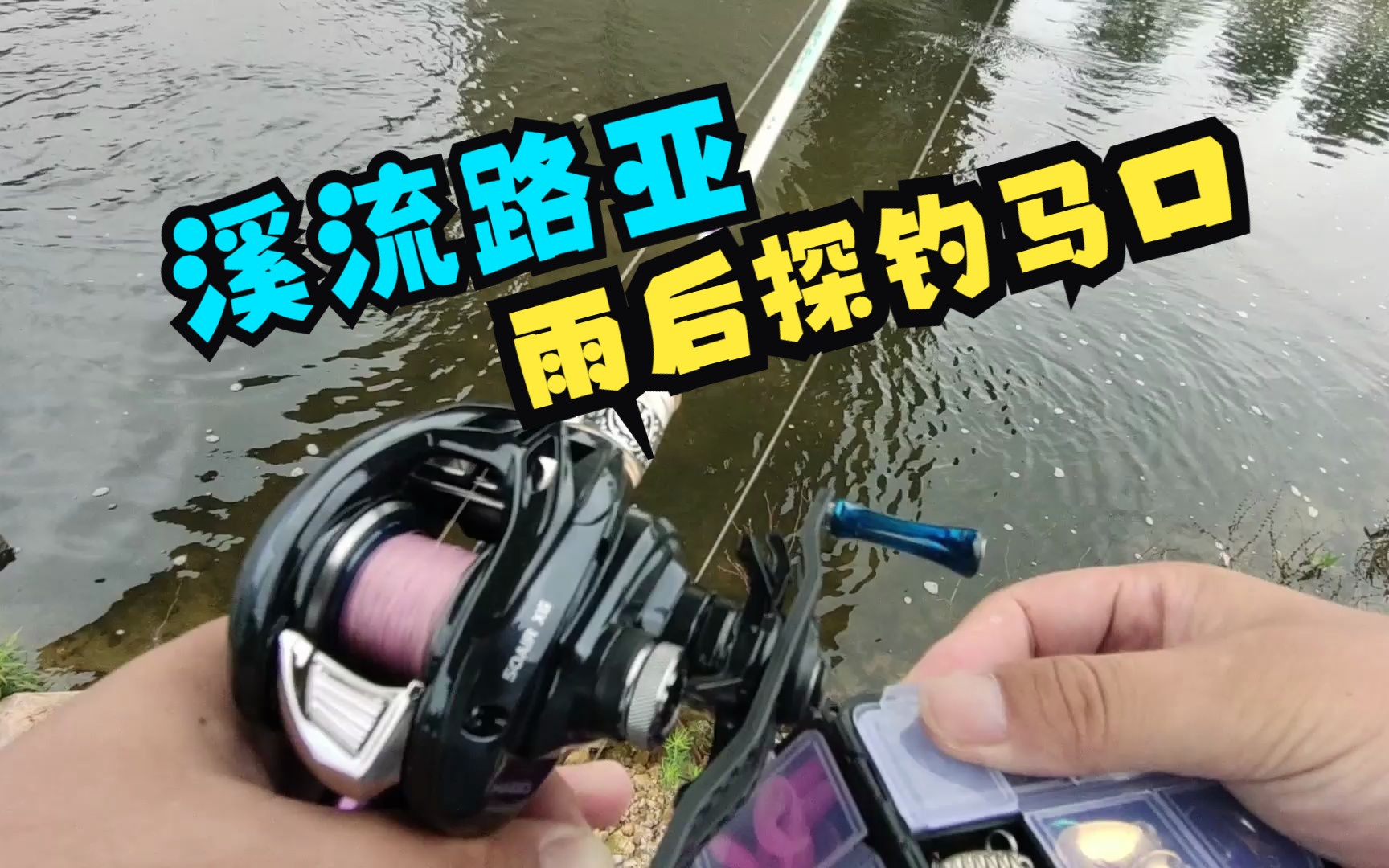 雨后好路亚吗(雨后好路亚翘嘴吗)