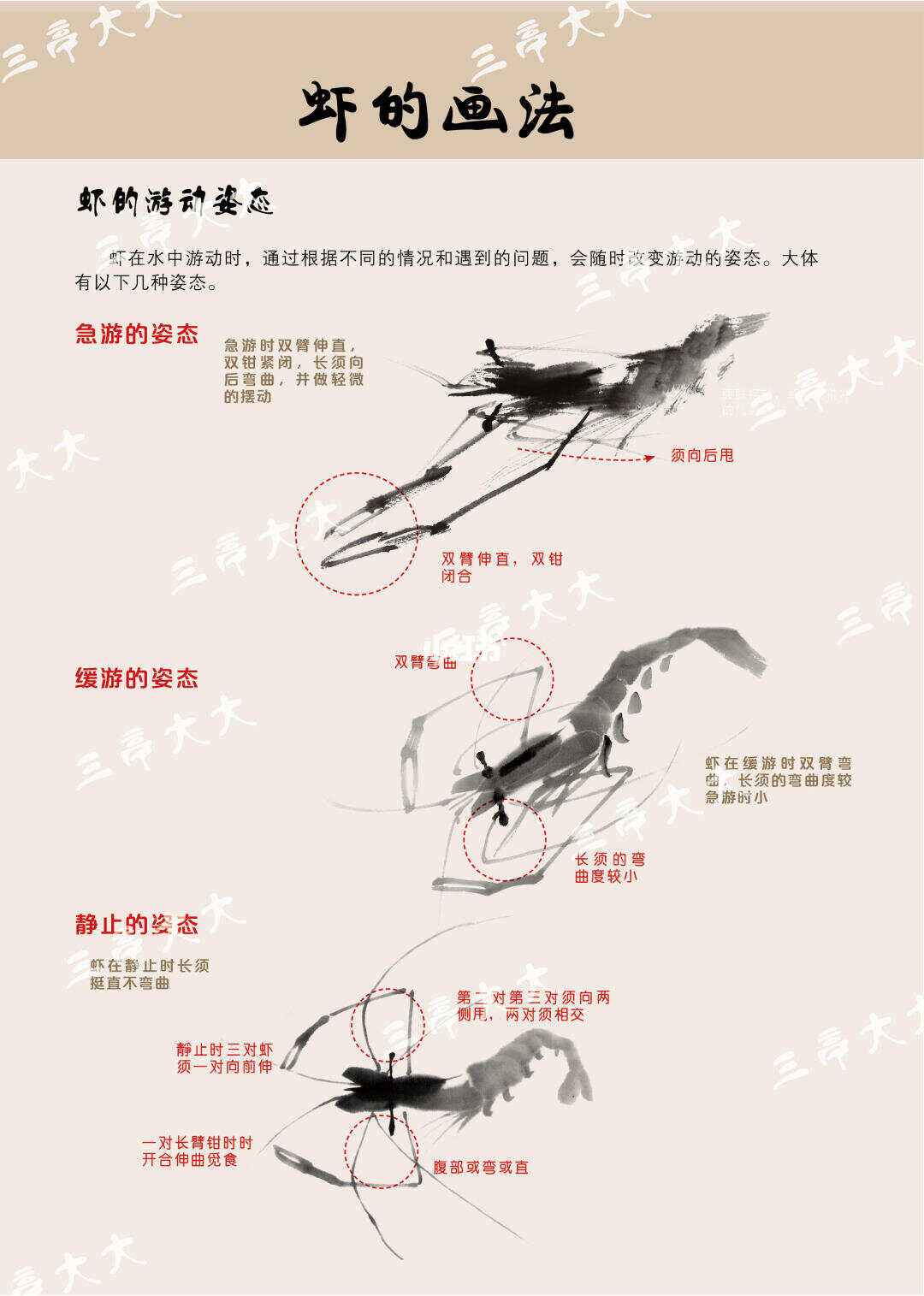 海钓要活虾吗(海钓用海虾还是淡水虾)