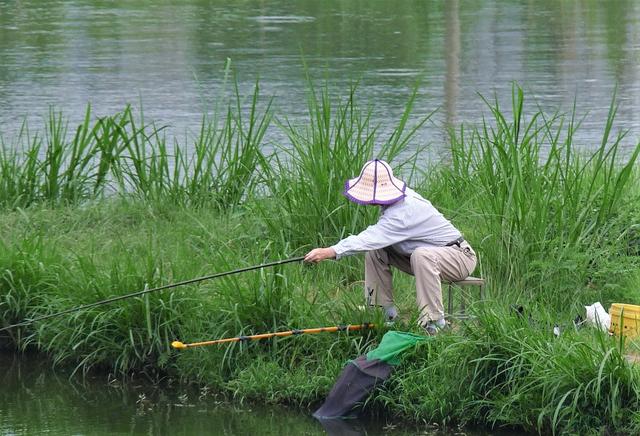 初春野钓鱼技巧(初春野钓鱼技巧有哪些)