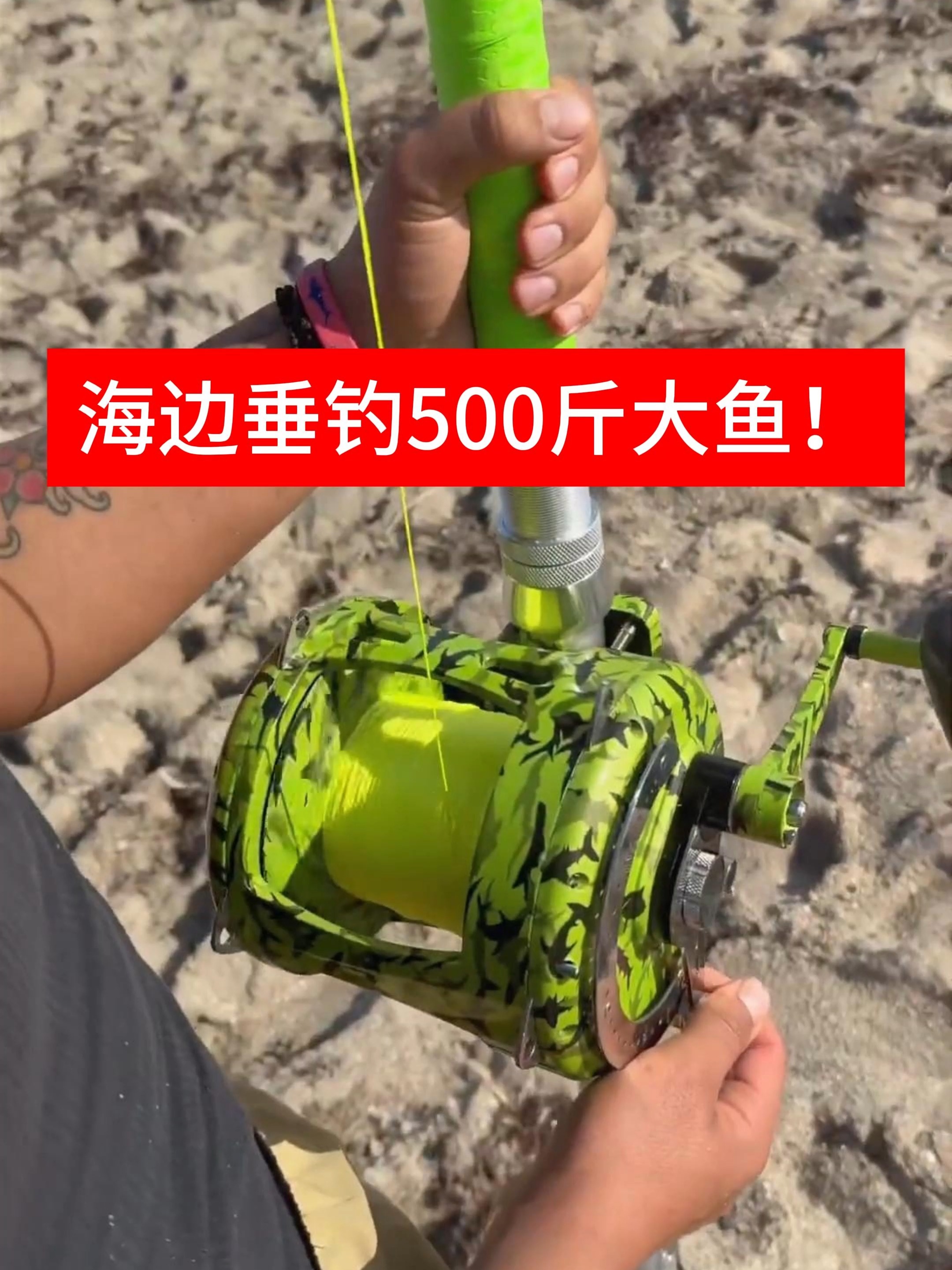 海钓钓鱼人软件(海钓app哪个比较全面)