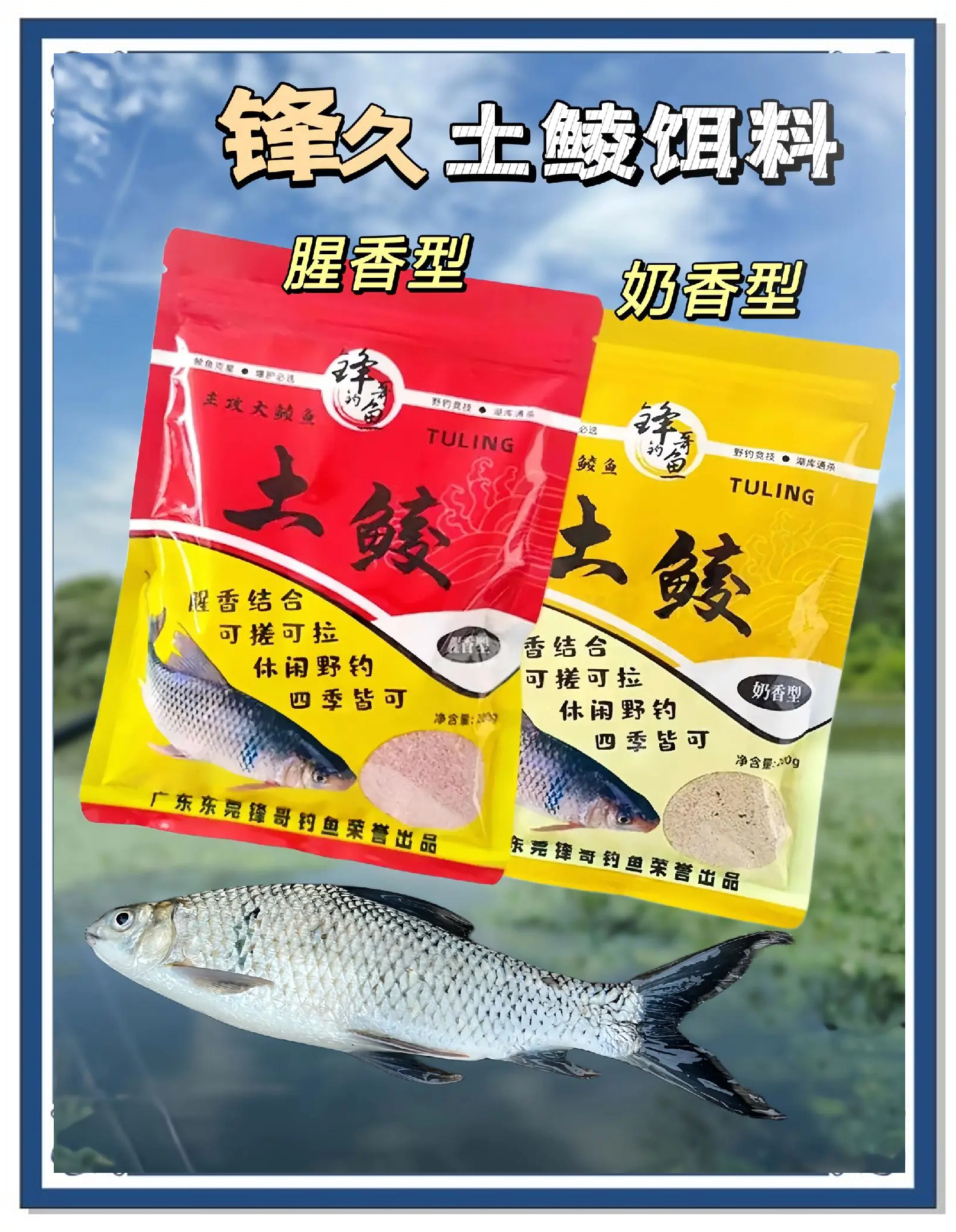 饵料不管用(用饵料钓不到鱼怎么回事)