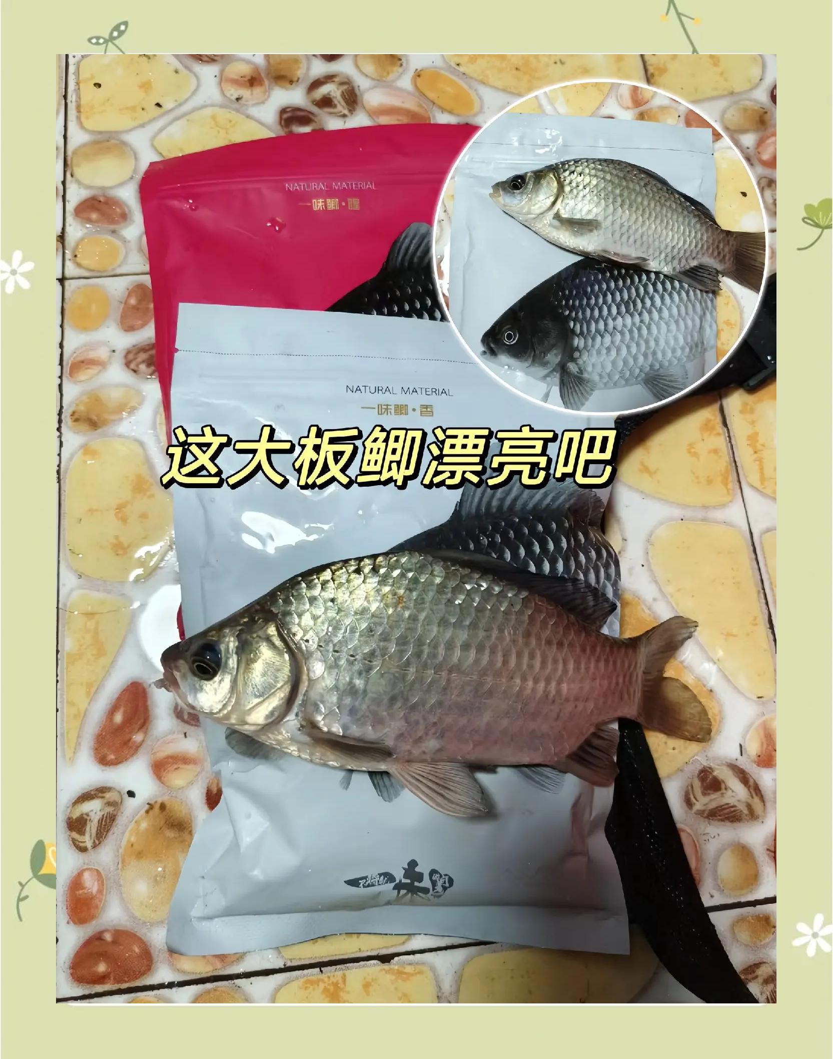 化氏基础饵料(化氏的饵料)
