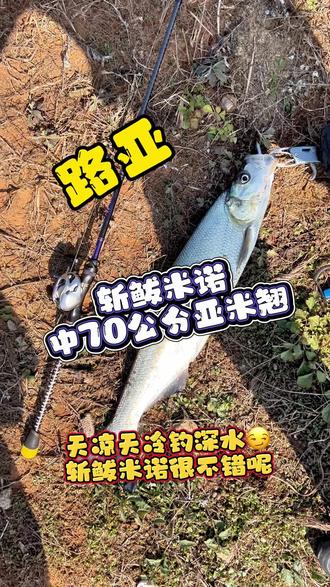路亚翘米诺(路亚米翘钓法)