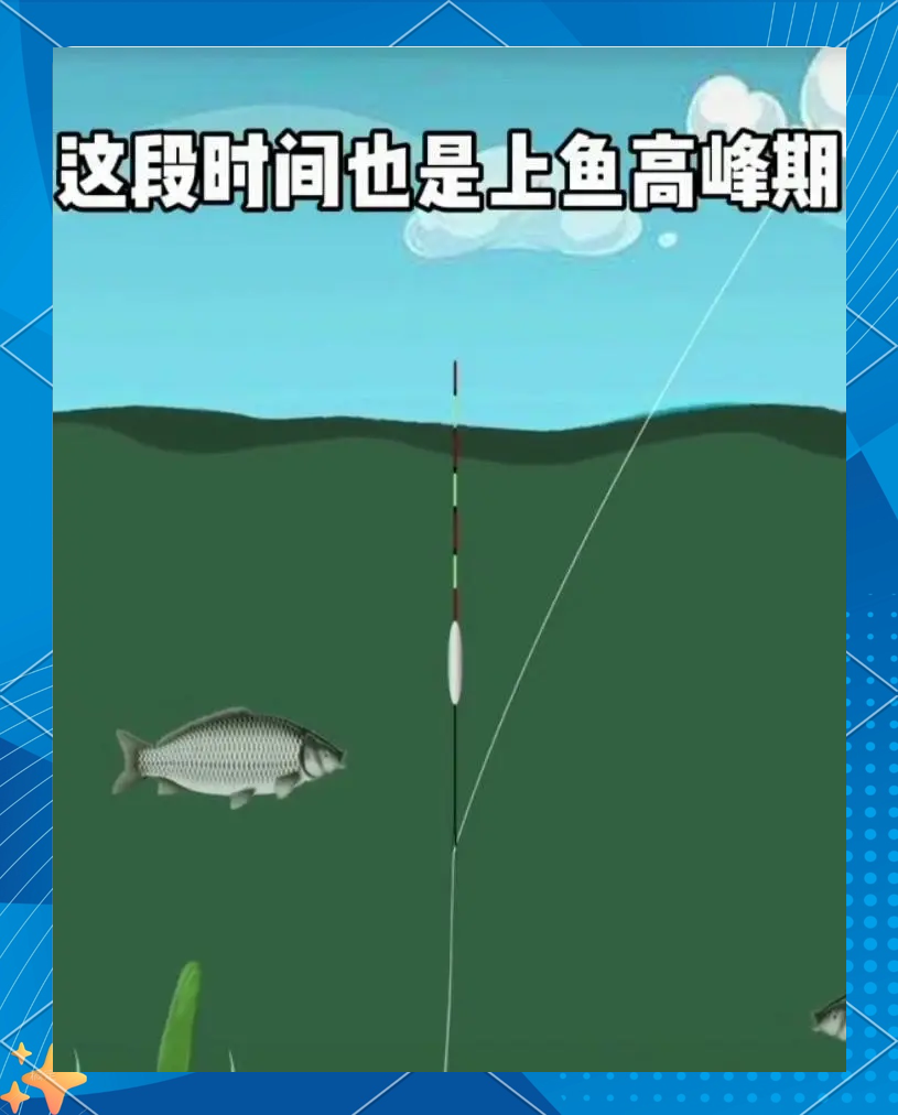 河流钓鲫鱼点选择技巧(河里钓鲫鱼怎么调漂视频)