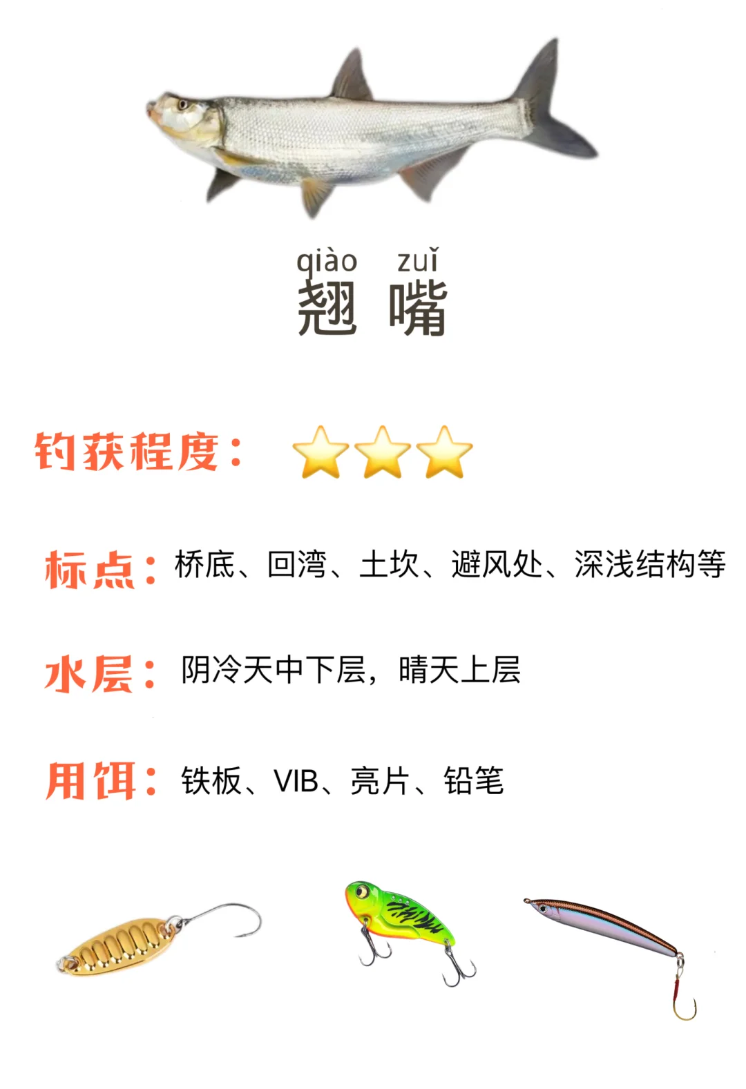 冬季路亚最佳时间(冬季路亚手法技巧视频教程)