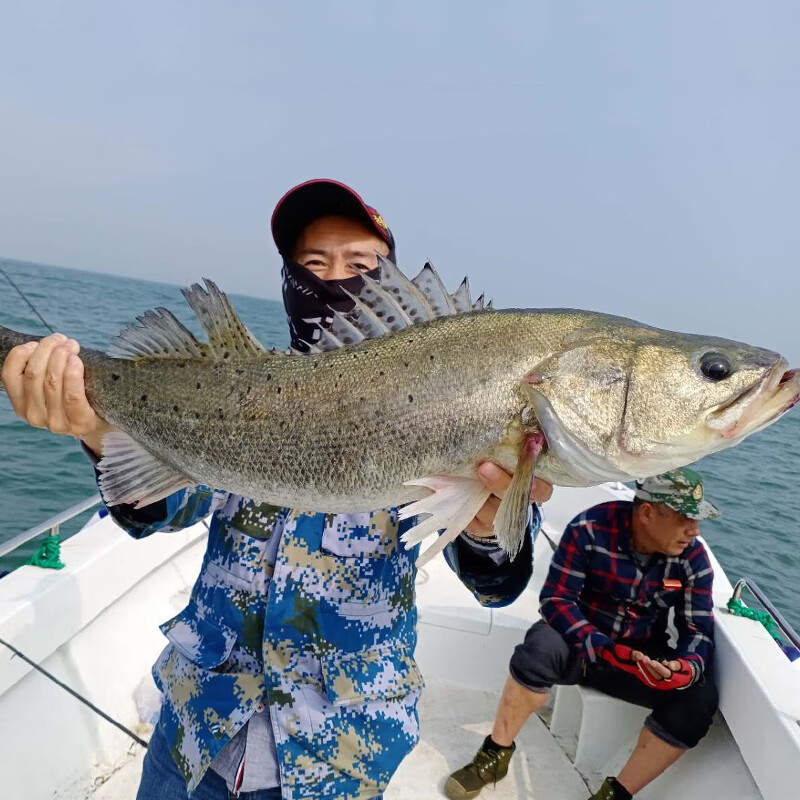 牧渔狼海钓(牧渔狼路亚竿价格)