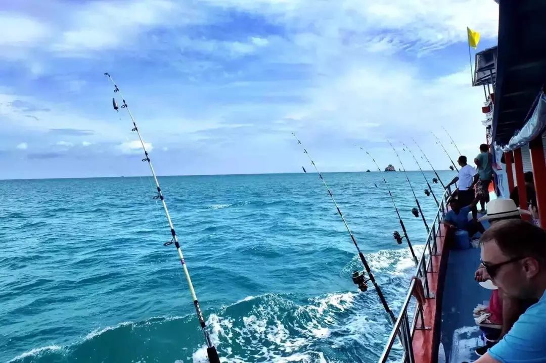 嘉兴哪里可以海钓(嘉兴哪有钓鱼的野河)