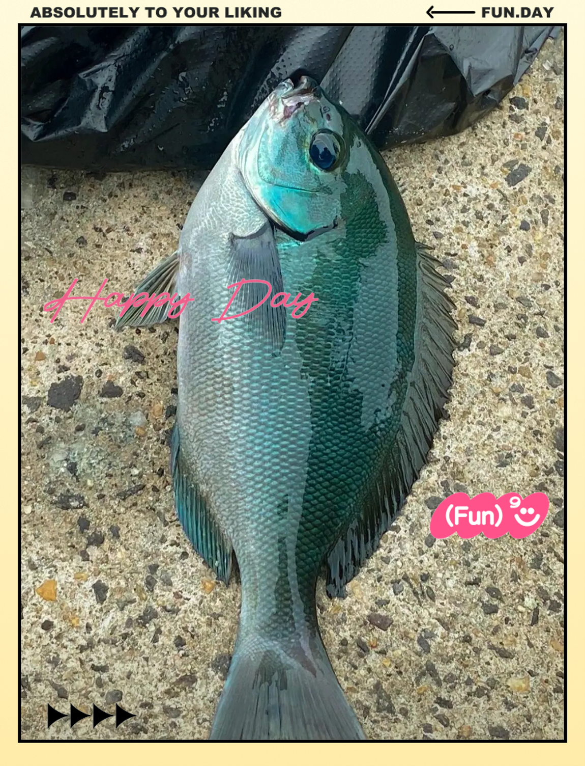 北海海钓钓点(北海海钓的地方)