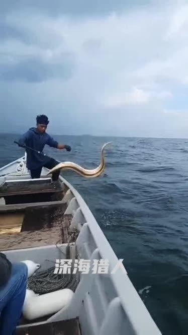 海钓鳗鱼技巧线组图片(2021年最新的钓海鳗视频)