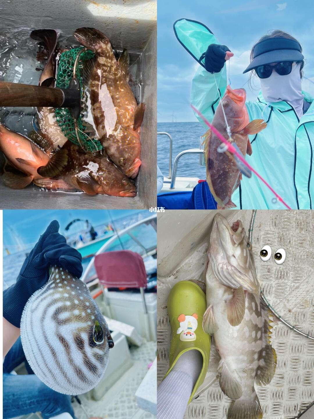 远海钓沉船心得(远海钓沉船心得体会)