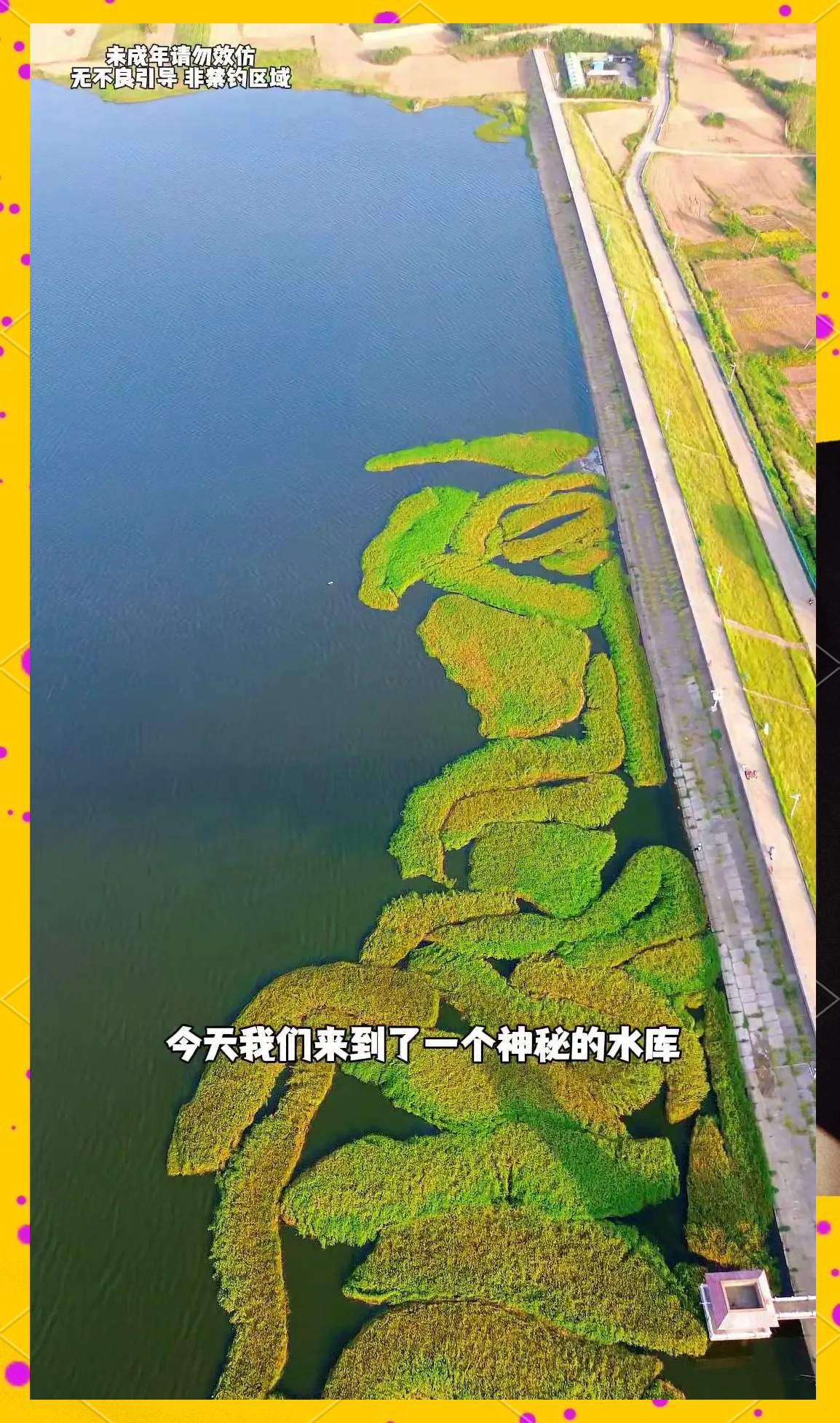 水库深秋钓大鲫鱼技巧(水库深秋钓大鲫鱼技巧视频)