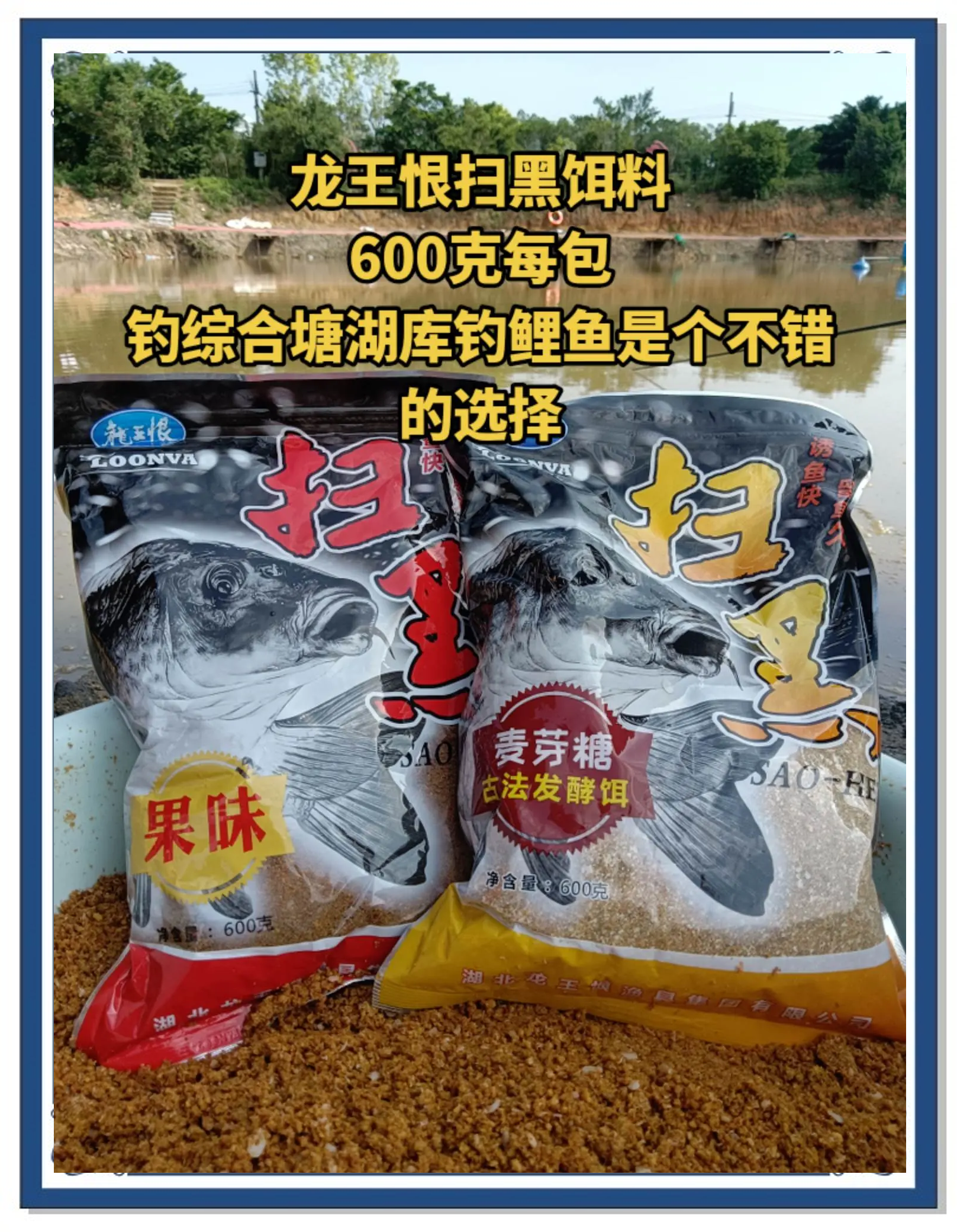 黑毛用什么饵料钓(黑毛用什么饵料钓鱼最好)