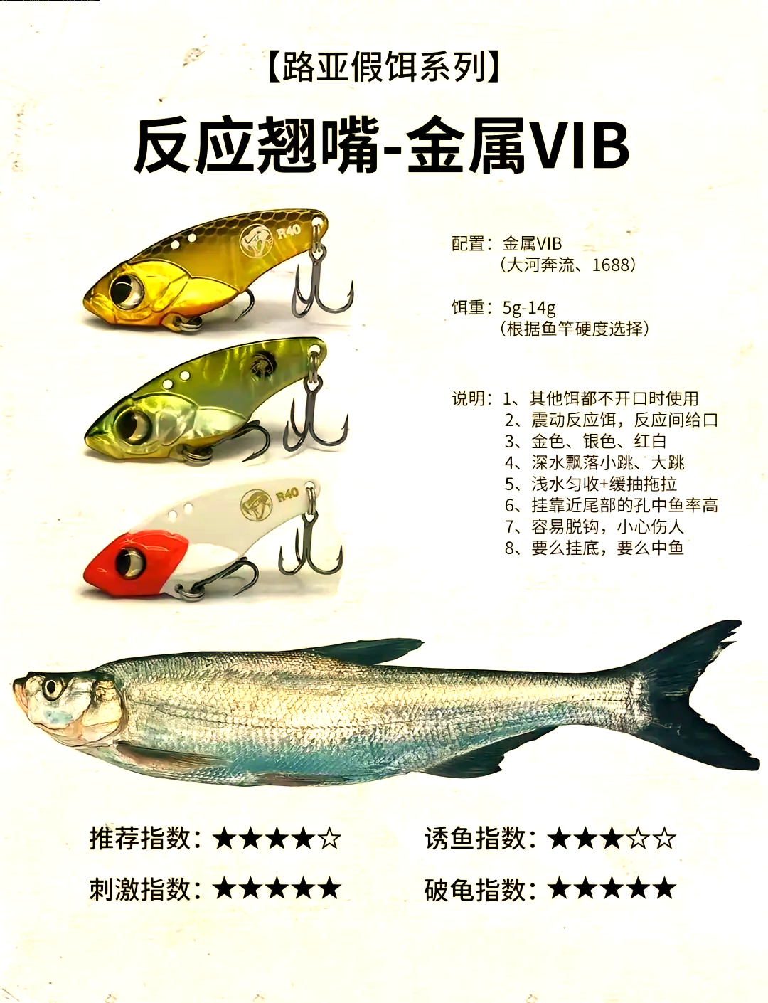 路亚钓黑头用什么饵(路亚黑头用多大的软饵)