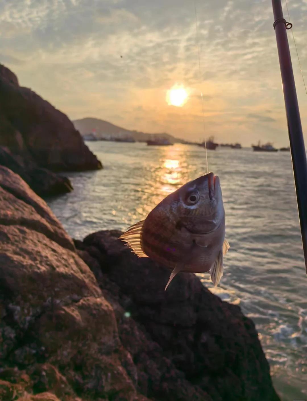 海礁海钓(海礁岛海钓)