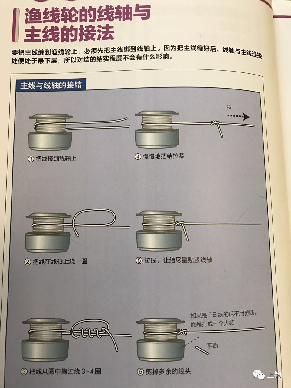 海钓使用几号线(海钓用几号线和钩)