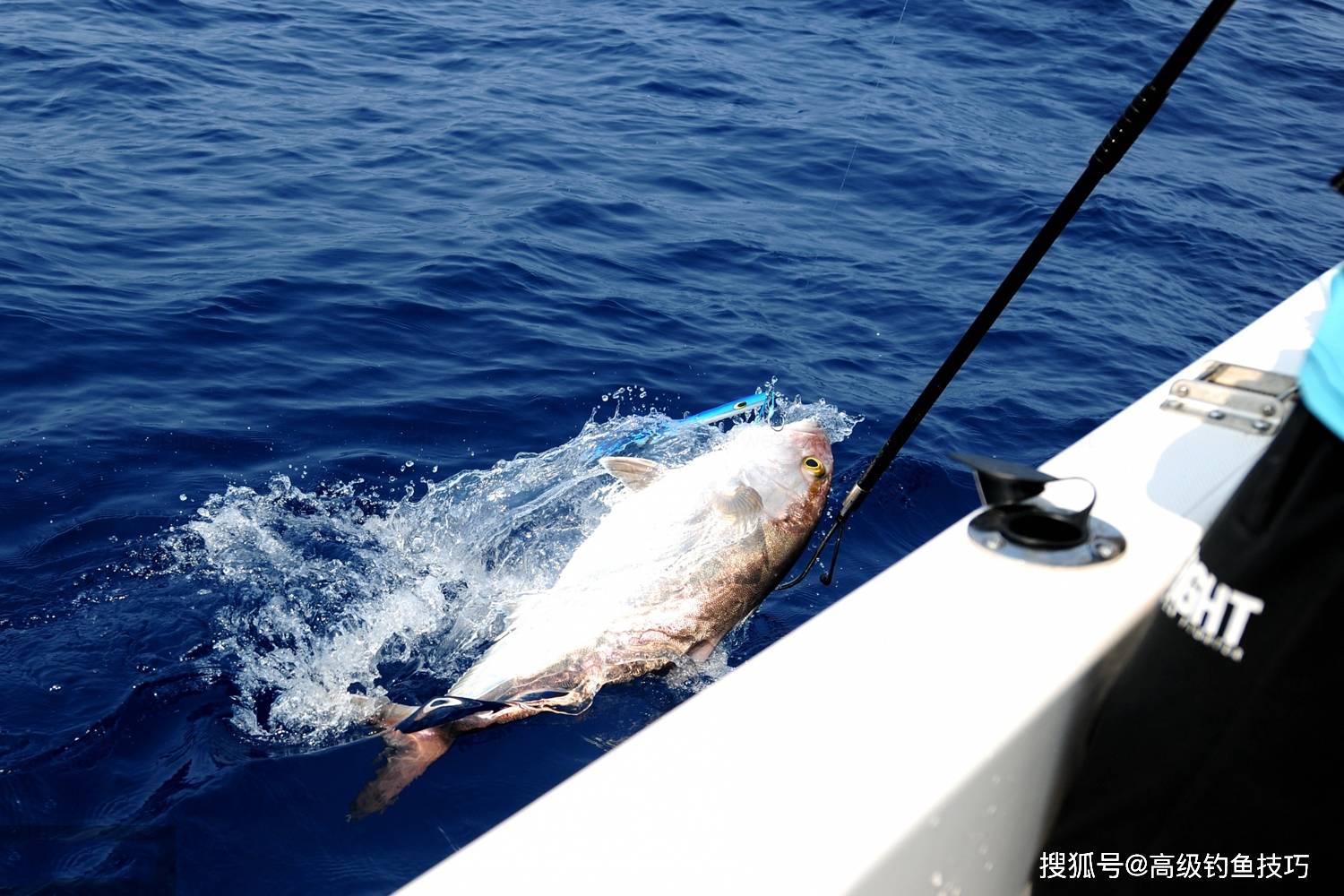 海钓大全视频(海钓技术视频教学)