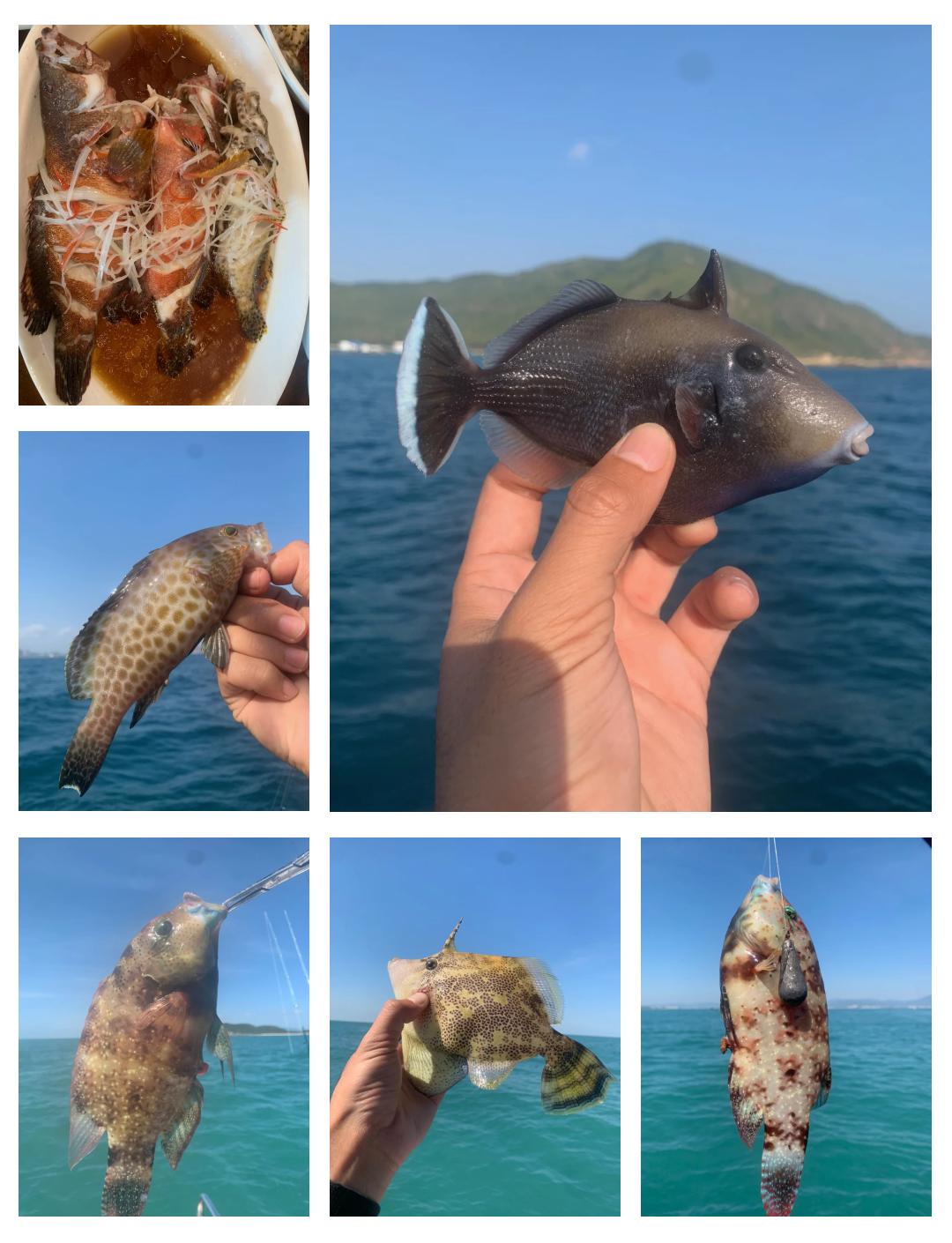 现在去东海钓鱼(东海附近的钓鱼水库)