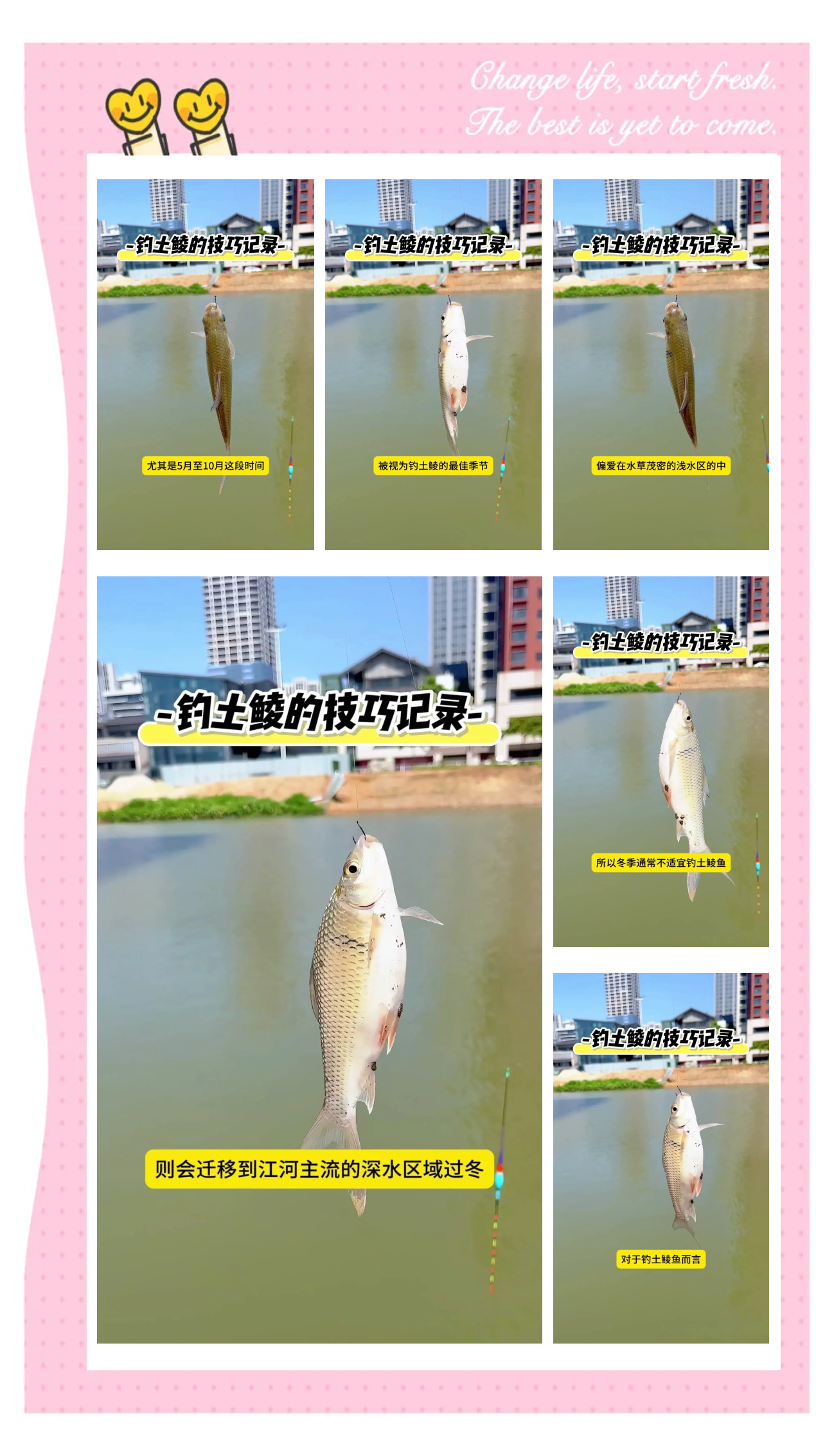 钓土鲮鱼调漂技巧视频(钓土鲮鱼用什么饵料配方)