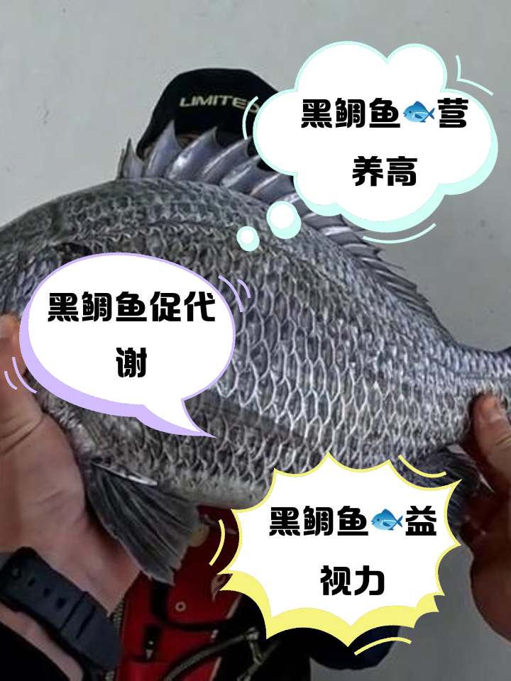海钓黑鲷钓多少水深(海钓黑鲷钓多少水深最好)