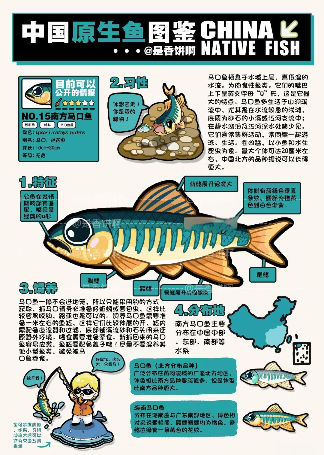 夏季钓马口鱼的技巧(夏季马口用什么饵料钓)