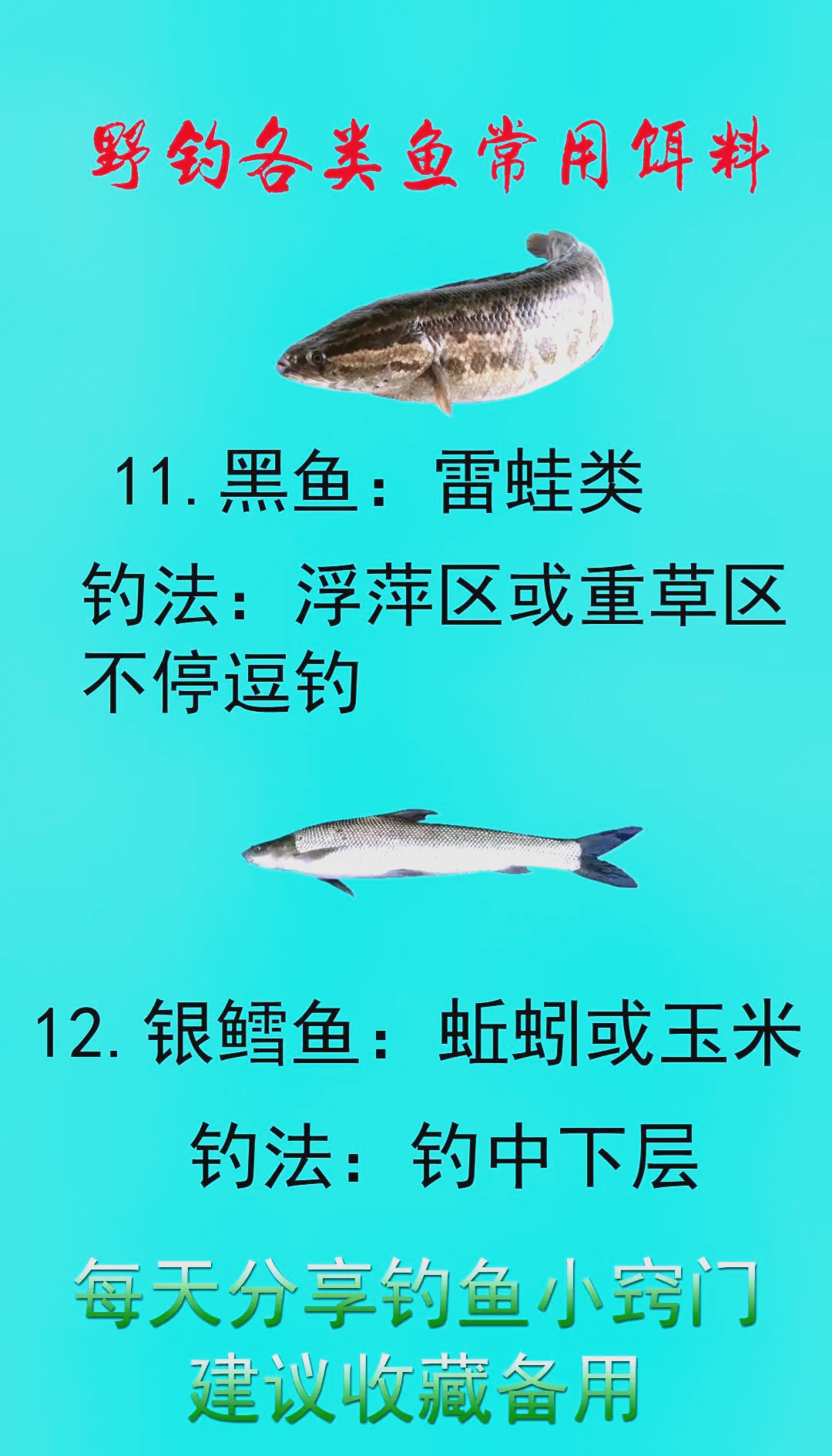 水库钓鱼饵料技巧(水库钓用什么饵料最好)