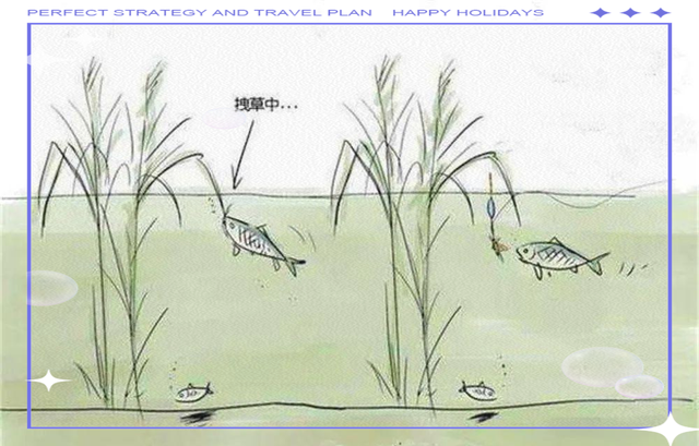 秋天草鱼技巧(秋季草鱼在什么位置)