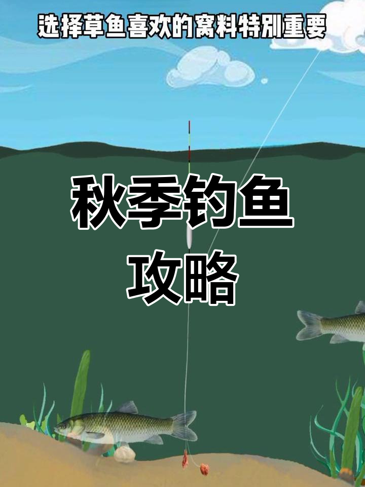 秋天草鱼技巧(秋季草鱼在什么位置)