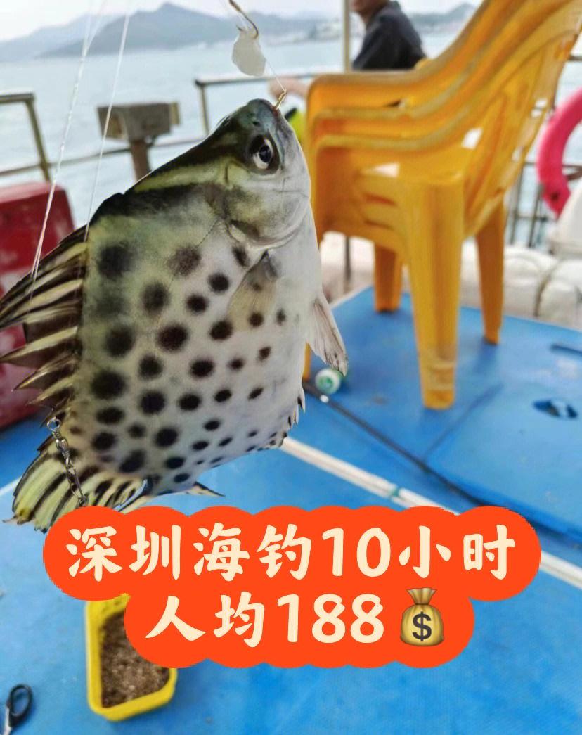 大鹏海钓渔排(深圳大鹏渔排海钓)