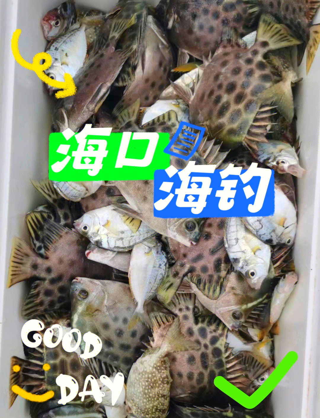 海口陪游客海钓(海口附近的野钓海鱼)