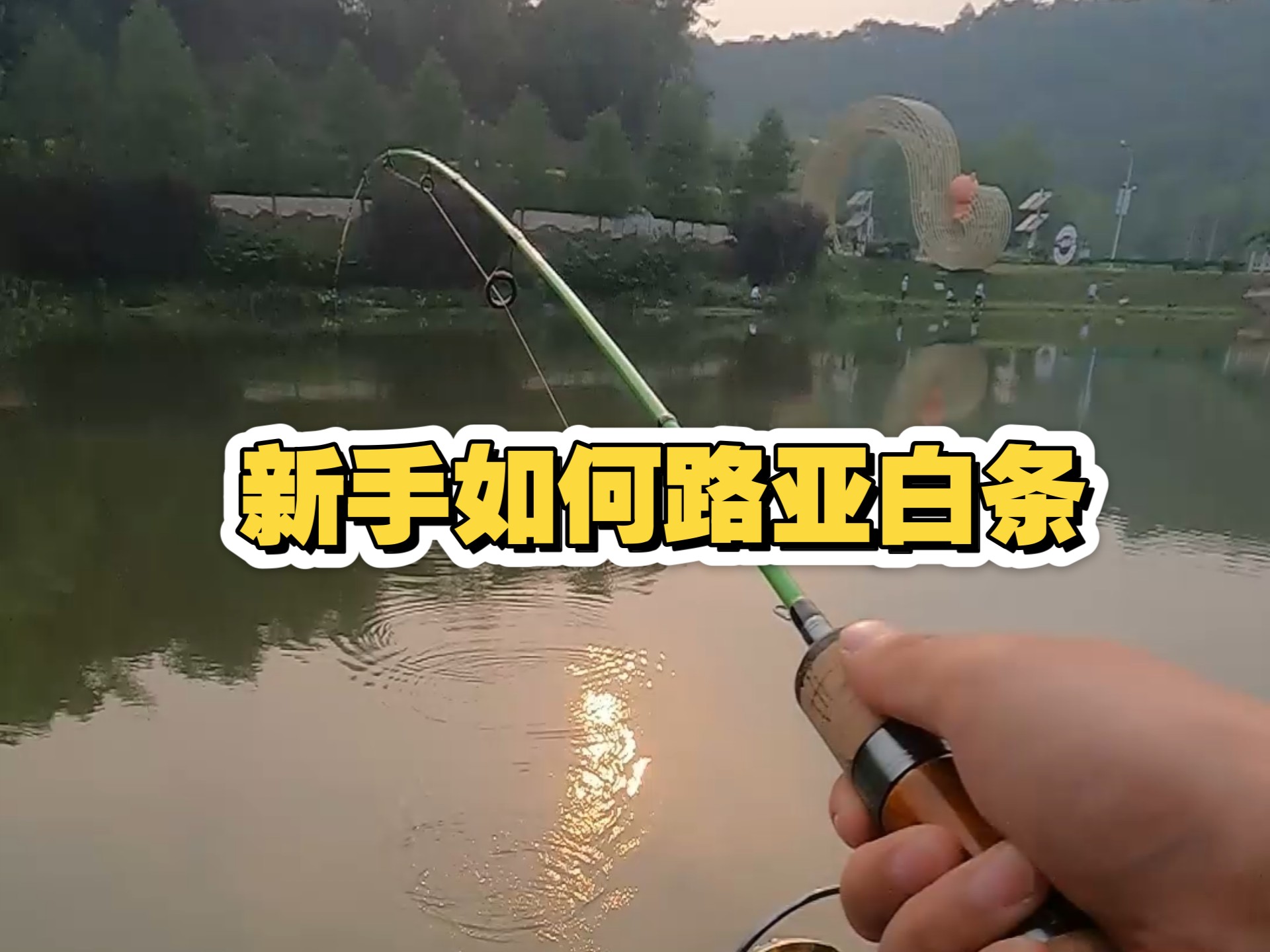 路亚白条知识(路亚白条手法技巧)
