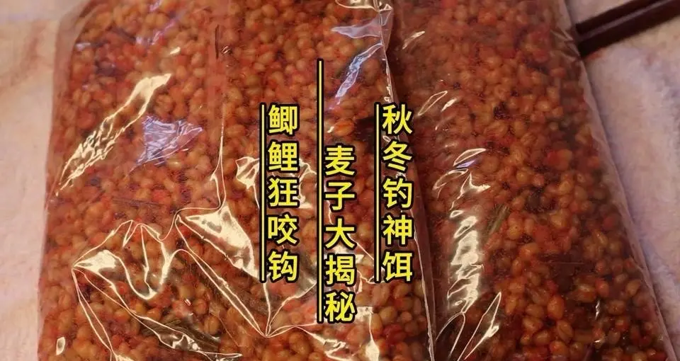 冬天鲤鱼爱吃什么饵料(冬天鲤鱼爱吃什么饵料呢)