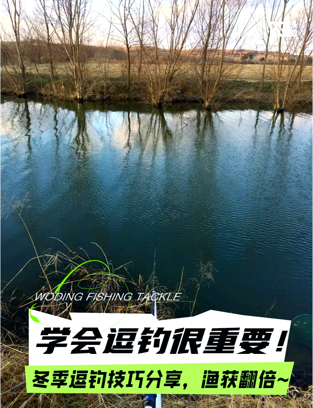 冬季凌晨钓鱼技巧(冬季凌晨钓鱼技巧视频)