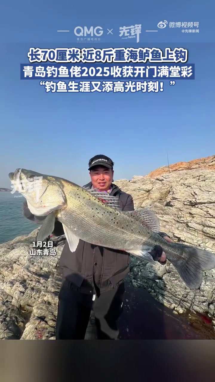 刘海钓鱼(刘海哥浮漂)