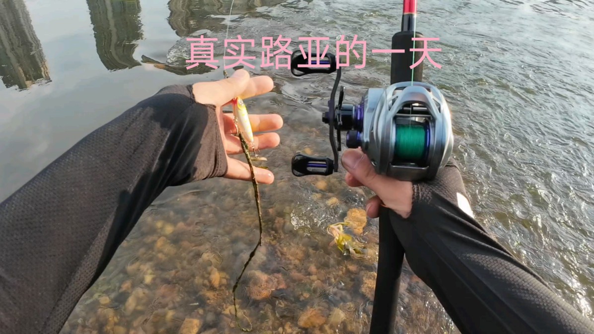 路亚大鱼调重(路亚如何调)