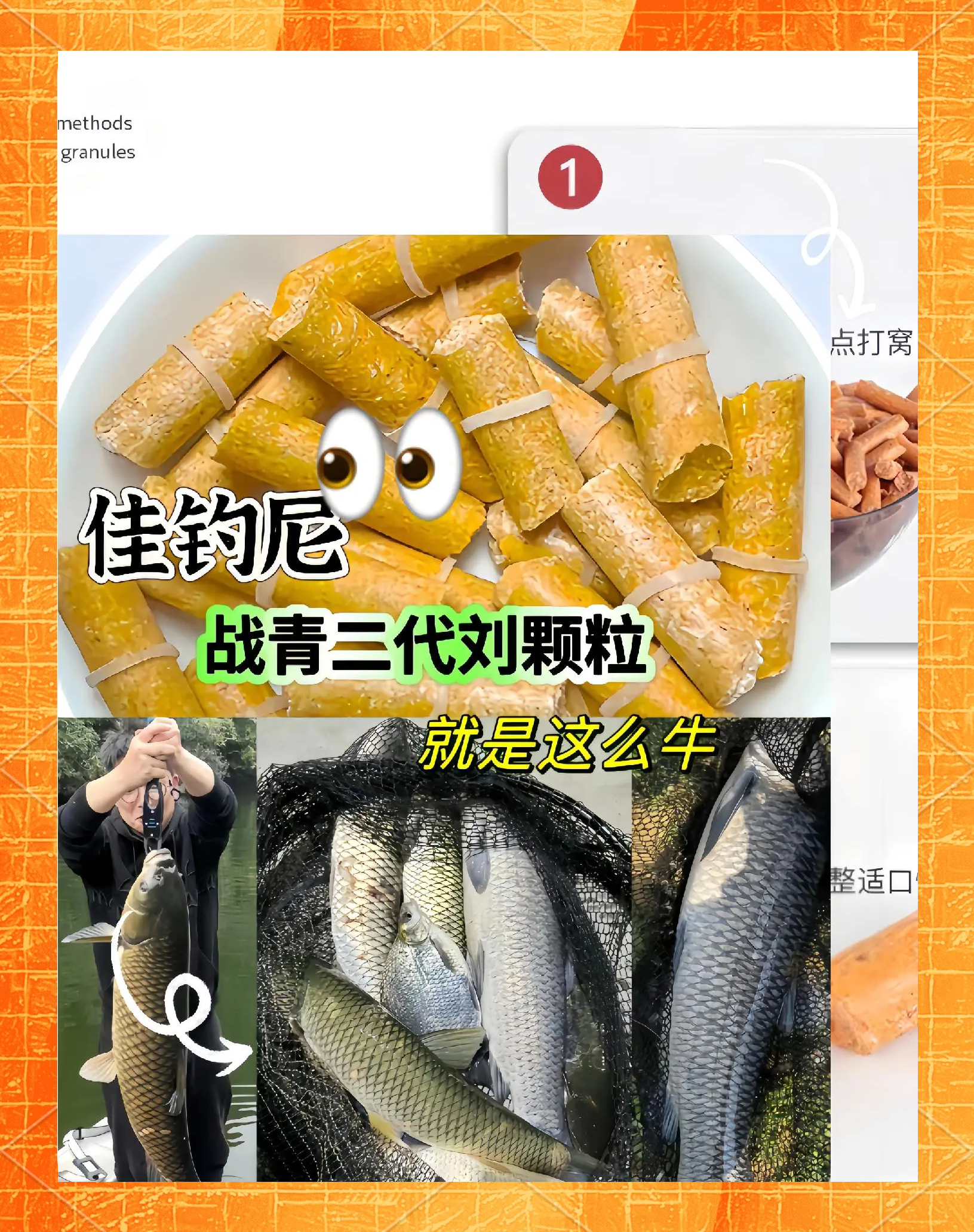 饭粒饵料(饭粒做鱼饵)