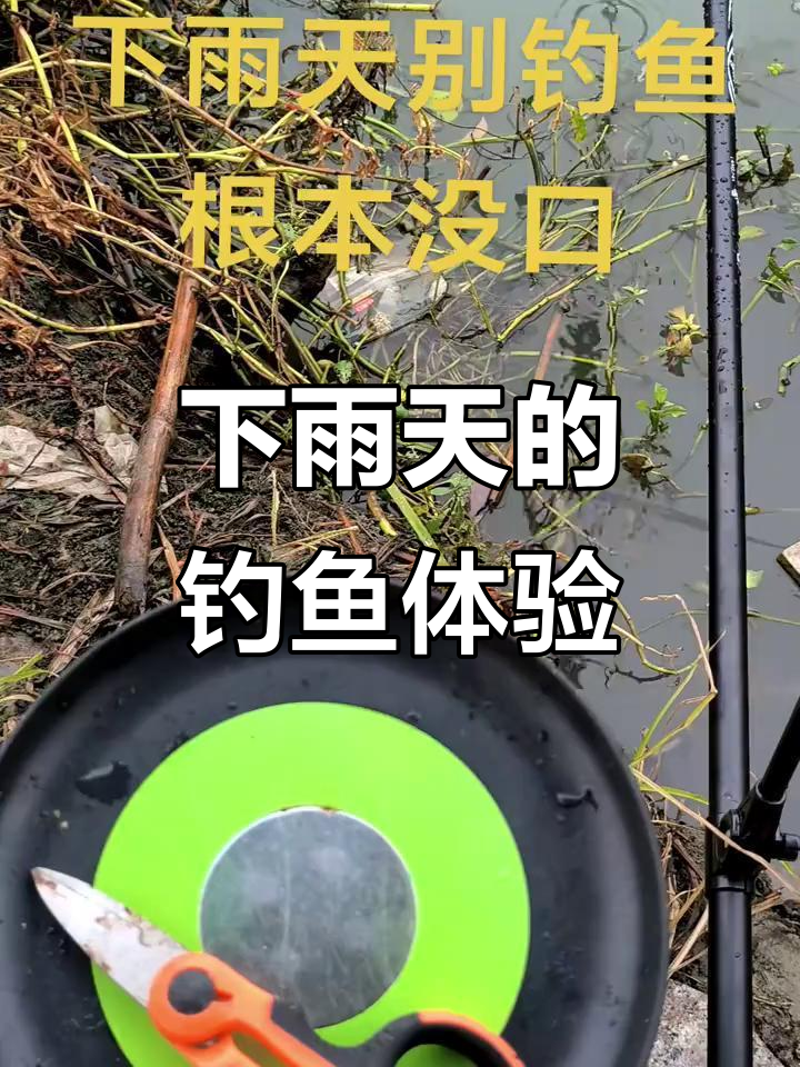 夏季连续雨天钓鱼的技巧(夏季连续雨天钓鱼的技巧有哪些)
