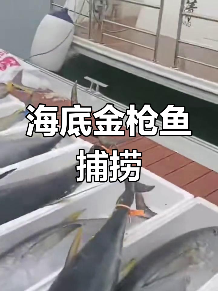 海钓20米水深(海钓水深15米钓法)