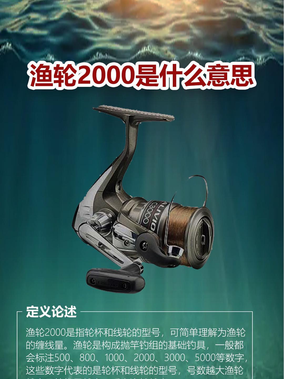 什么路亚轮好(路亚那种轮子最好)