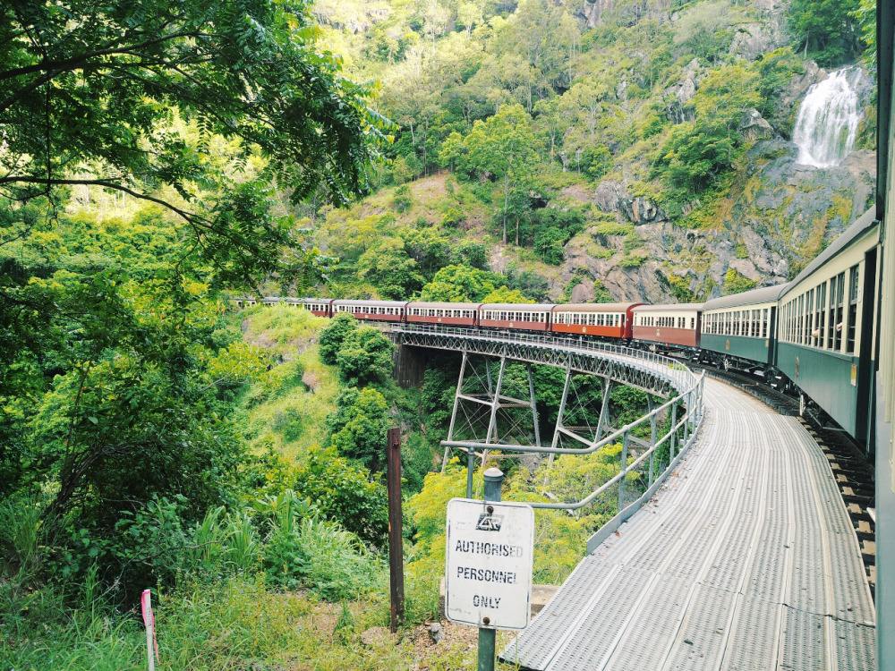凯恩斯海钓游记(凯恩斯旅游攻略马蜂窝)