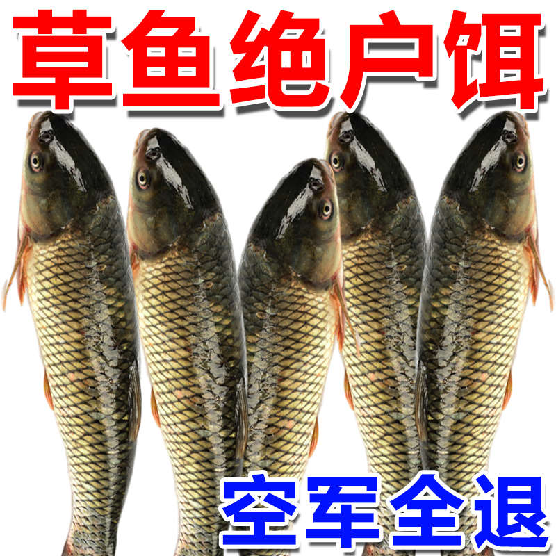鱼吃的饵料(鱼吃的饵料怎么做)