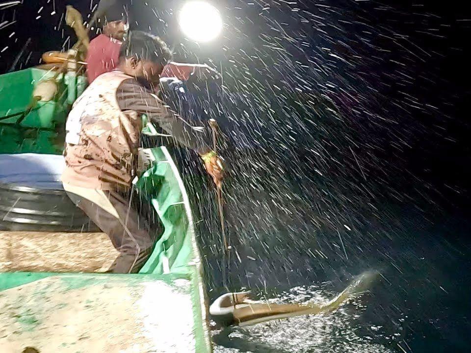 海钓鱼准备(海钓钓具准备)