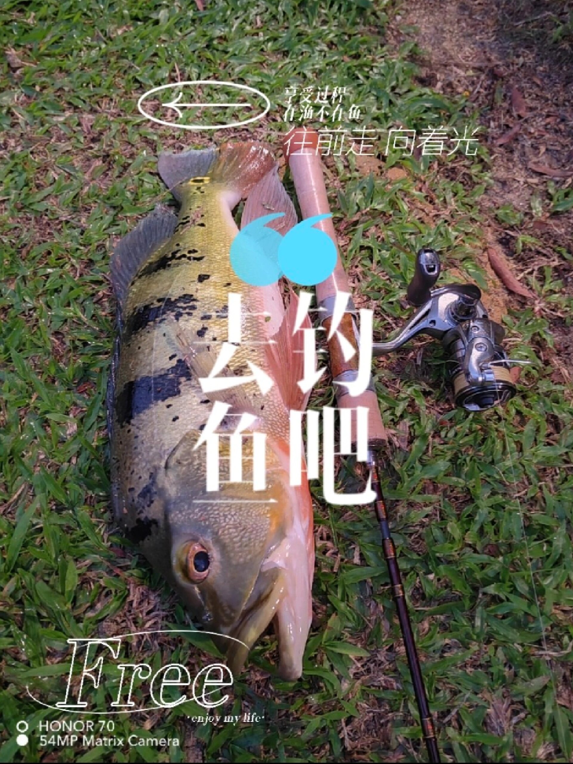 路亚大马鱼(路亚大马哈鱼)