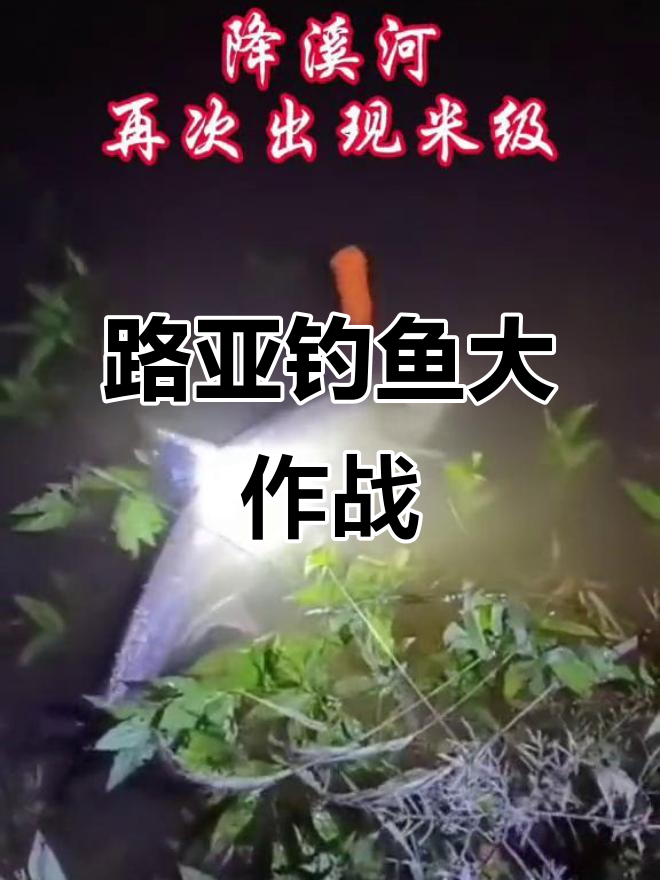 河流中夜钓技巧(河流夜钓要用什么饵料)