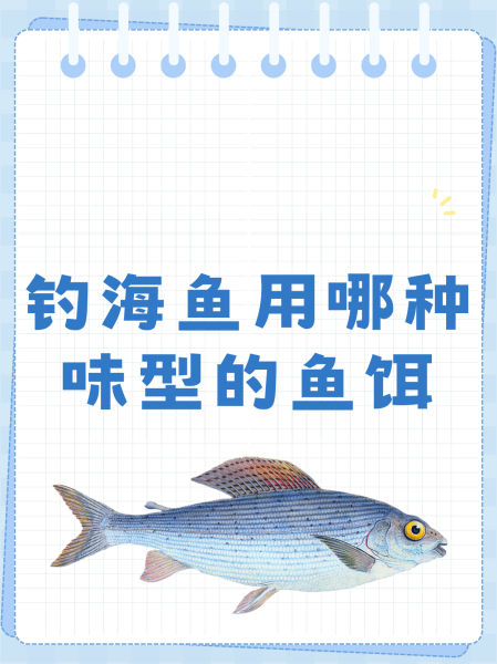 海钓梭鱼用什么饵(海钓梭鱼的最佳钓组)