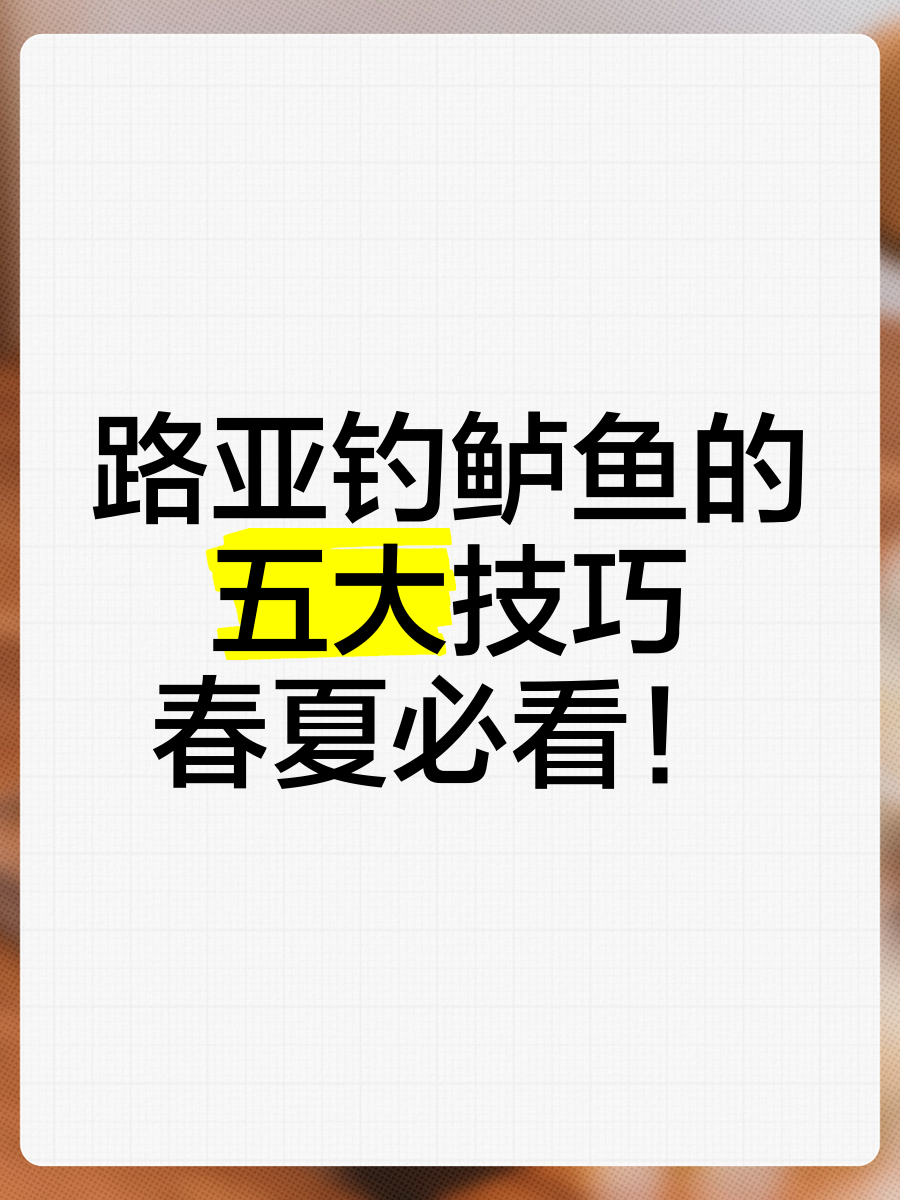 钓鲈鱼技巧(钓鲈鱼技巧有哪些)