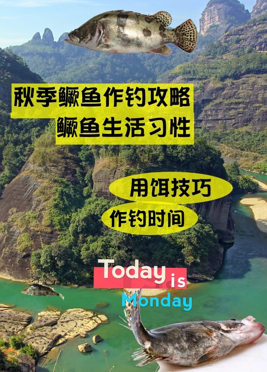 路亚夜钓鳜鱼技巧(路亚夜钓鳜鱼技巧视频)