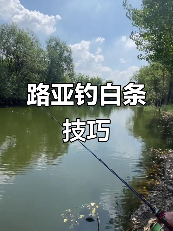 白条钩钓鱼技巧(白条钩钓鱼技巧图解)