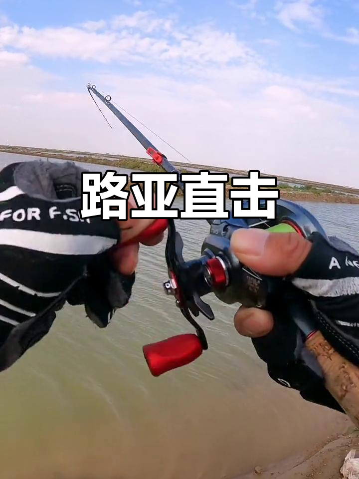 ltw路亚(ltw路亚比赛)