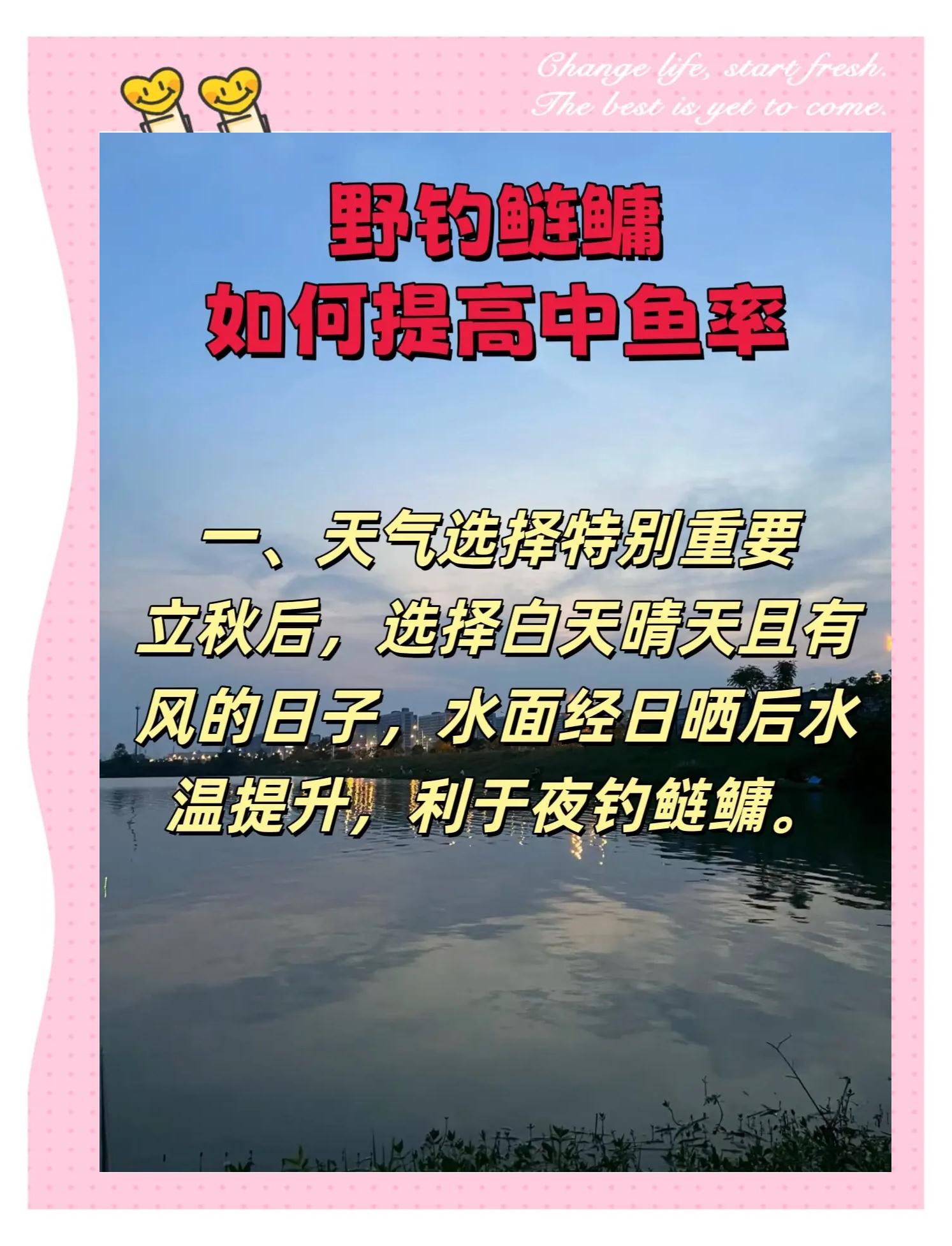 台钓花鲢白鲢技巧(台钓花鲢用什么鱼饵)