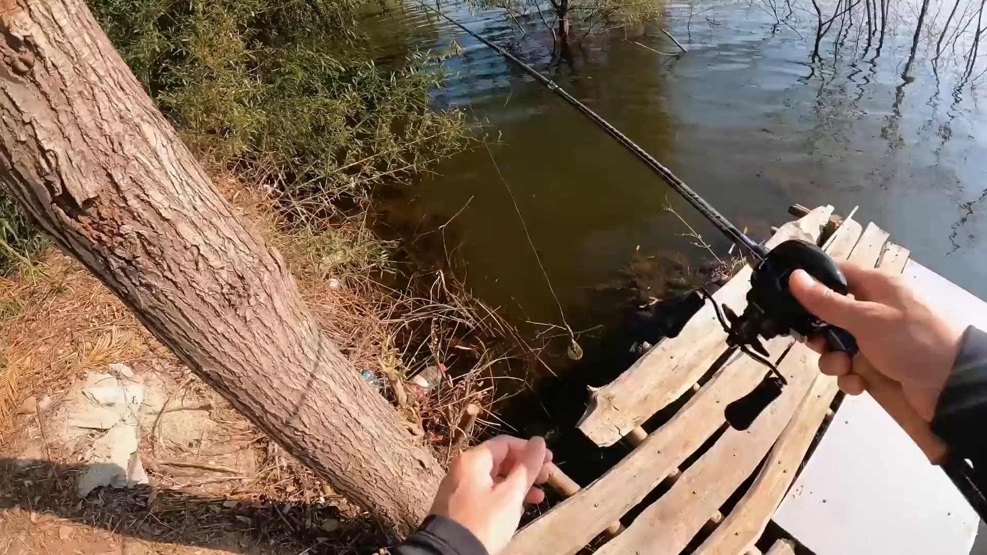 东北秋末钓鱼技巧(东北秋天钓鱼的最佳时间是什么时候)